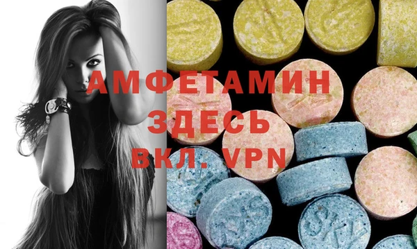 ГАЛЛЮЦИНОГЕННЫЕ ГРИБЫ Богданович