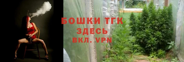 прущие грибы Беломорск