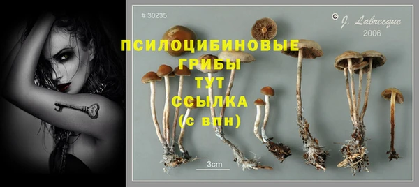 не бодяженный Богородицк