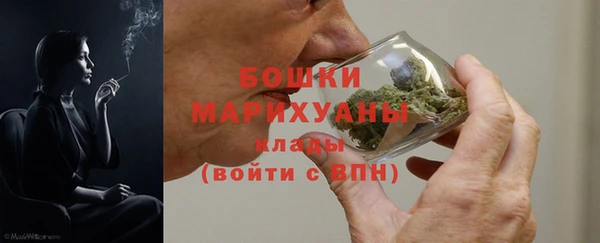 прущие грибы Беломорск