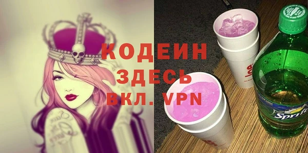 ГАЛЛЮЦИНОГЕННЫЕ ГРИБЫ Богданович