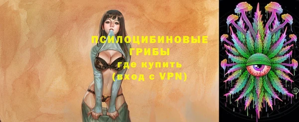 прущие грибы Беломорск
