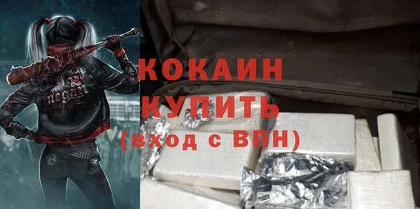 ГАЛЛЮЦИНОГЕННЫЕ ГРИБЫ Богданович